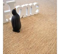 Decoweb Moquette Tissé Plat - Mahé - Naturel - Echantillon 15 x 20 cm