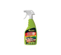 Starbrite 4722 Nettoyant Dégraissant Barbecue Plancha 650 ML, Transparent, 12 x 6 x 30 cm