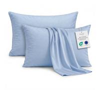Degrees Home Lot de 2 Taies d'oreiller (50 x 50 cm) en Microfibre Extra Souple et Respirante, Housses de Coussin de Lit Anti-Plis, Linge de Lit