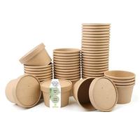 DeinPack Lot de 250 gobelets à soupe avec couvercle Marron 230 ml