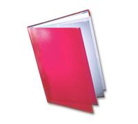 Dekko Classeur A3 Rechargeable Framboise (Import Royaume Uni)