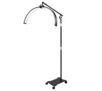 Dekltus Lampe Demi-Lune debout avec roulettes, lampe demi-lune LED avec télécommande et support de téléphone, lampe de sol réglable en température de couleur et en luminosité pour salon de manucure