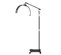 Dekltus Lampe Demi-Lune debout avec roulettes, lampe Demi-Lune LED avec télécommande et support de téléphone, lampe de sol réglable en température de couleur et en luminosité pour salon de manucure