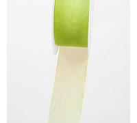 Deko und Band 53736 Ruban en Organza avec Bord en Tissu 38 mm 50 m 22 Vert Clair - 53736-38-50-62