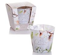 Dekohelden24 Lot de 2 bougies parfumées, photophores en verre, parfum cotton, 8 x 8 x 8 cm, 115 g par bougie, blanc