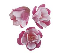 Dekora - 6 Magnolias Fleurs Comestibles pour Gâteau d'anniversaire avec des Fleurs Couleur Rose - 6,5-7 cm 126150 Multicolore