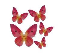 dekora - 79 Papillons Décoratifs 3D Comestibles - Décoration de Gâteau d'Anniversaire Facile à Utiliser - Papillons en Gaufrette Teintes de Rose - Taille 3-6 cm