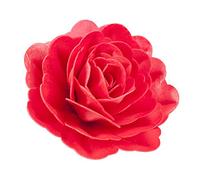 Dekora - Décoration Comestibles Forme de Roses Claires en Gaufrette pour Gâteau, 12,5cm