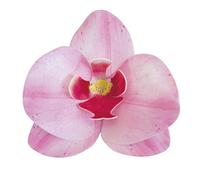 dekora - Fleurs Comestibles pour Gâteau, 10 Gaufrettes Orchidées roses 8.5 x 7.5 cm, sans sucre, sans gluten, sans lactose, Décoration Gâteau pour Anniversaire, Mariage, Baptême