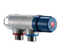 Delabie - Regulateur thermostatique PREMIX compact male 15x21 clapets anti-retour incorpores Ref : 733015
