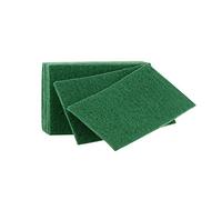 Delaisy Kargo 127711 Tampon abrasif, Vert (Pack de 10)