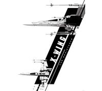 DELESTER DESIGN 2789VEA Star Wars Episode VII Le Réveil de la Force Papier Peint Intissé 2 Panneaux Multicolore 206 x 275 cm