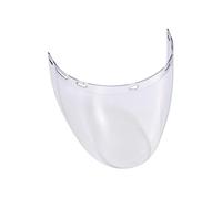 Visière de protection Visor Toric Clear - Delta Plus - visortoin
