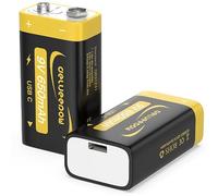 Delyeepow Piles 9v Rechargeable Lithium 650mAh,Pile 9V Lithium Rechargeable USB C 2 PCS avec Câble