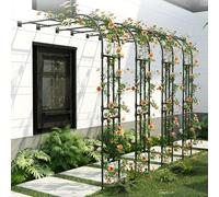 Demi-Arche À Rosiers pour Plantes Grimpantes en Métal - Pergola pour Intérieur Extérieur Pelouse de Jardin - Assemblage Facile - Tuteur Colonne (Noir, 220W x H240cm)