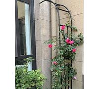 Demi-arche de jardin en métal - Treillis lourd - Fixation murale pour roses et plantes grimpantes - Résine résistante aux intempéries - 2,4 m de hauteur - Noir - 60 x 240 cm - Décoration extérieure