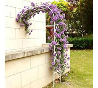 Demi Arche de Jardin Treillis Mural pour Plantes Grimpantes Arche Métal Extérieur avec Tubes Acier Revêtement Plastique pour Jardin Terrasse Cour(Blanc,W150cm/4.9ft)