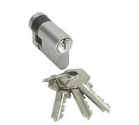 Demi cylindre - 60 x 10 mm - varié - laiton nickelé - TE 5 TESA Sécurité