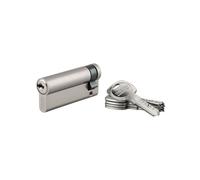 Demi-cylindre de Serrure 60 x 10 mm en boîte 17738