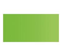 Demi Pan Schmincke Horadam Aquarelle : Peut Vert