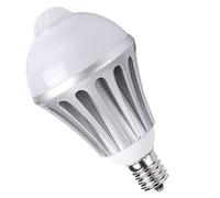 Denash Ampoule LED à Détecteur de Mouvement E17 AC85-265V 9W pour Couloir de Chambre à Coucher, Lumière à Induction à économie D'énergie pour la Maison en Aluminium Blanc Chaud (Blanc chaud)