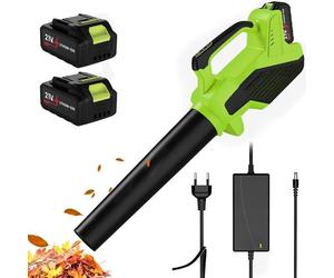 Déneigeuse électrique sans fil, souffleur de feuilles électrique, 21V, vitesse du vent de 250 km/h, 2 batteries de 3,0 Ah et chargeur, portée extra large et poignée ergonomique pour dégager les allées
