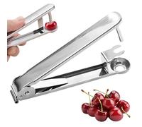 Denoyauteur Cerise Et Prune, Cerises Prunes Fruits Dénoyauteur Manuel Multifonctionnel Ménage, Denoyauteur Olives Portable Plastique Cuisine pour Fruit Dénoyauteurs (Inox)