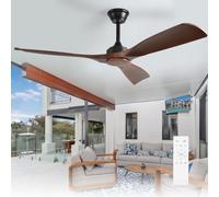 Depuley Grand ventilateur de plafond sans lumière pour extérieur : ventilateur de 132 cm avec télécommande et pour terrasse, jardin, ventilateur de plafond silencieux