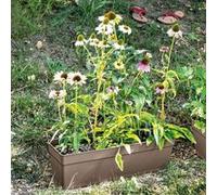 DEROMA Jardinière avec réserve d'eau Ninfea R Chameau - 60 cm