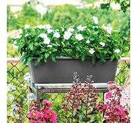 Deroma Jardiniere rectangulaire Day R Anthracite - 50 cm