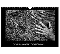DES ÉLÉPHANTS ET DES HOMMES (Calendrier mural 2027 DIN A4 vertical), CALVENDO calendrier mensuel: La relation entre les éléphants et les hommes en Asie du sud-est