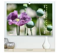 DES FLEURS ENCHANTERESSES (Calendrier mural haut de gamme 2027 DIN A2 vertical), CALVENDO calendrier mensuel: Découvrez la beauté de la nature avec ces gros plans floraux uniques.