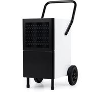 Déshumidificateur 80 litres par jour, déshumidificateur de construction professionnel, avec pompe à eau, tuyau de vidange, roulettes, affichage numérique, appareil de séchage industriel, pour caves, e