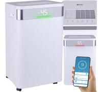 Déshumidificateur d'air 20 L/jour, Wi-Fi, réservoir de 4,3 L, minuterie