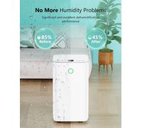 Déshumidificateur électrique - Capacité de 12 litres par jour - Technologie par compresseur - 2 vitesses - Pour usage domestique