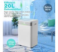 Déshumidificateur électrique - Déshumidificateur - Absorbeur d'humidité - Appareil de déshumidification - Extracteur d'humidité