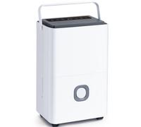 Déshumidificateur professionnel - Capacité de 65 litres par jour - Puissance de 600 watts - Adapté pour les espaces de 120 m²