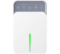 Déshumidificateur puissant silencieux pour chambre maison sous-sol, absorbeur d'humidité électrique intérieur, séchage rapide