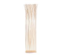 DESIGN DELIGHTS Séparateur de pièces Slim | Saule, 170x40cm | Branches Paravent, Séparation de pièce, Cloison Protection visuelle | Couleur: Blanchi