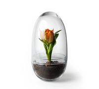Design House Stockholm Serre Grow Moyen ø11 cm