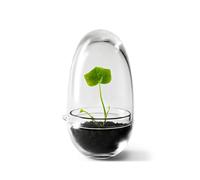 Design House Stockholm Serre Grow Small ø8 cm