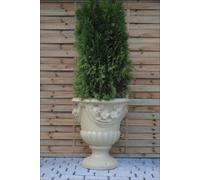 Design Pot de fleurs Top Plant Récipient Pots Figure Boîte Sculpture PETRA Nouveau