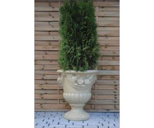 Design Pot de fleurs Top Plant Récipient Pots Figure Boîte Sculpture PETRA Nouveau