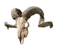 Design Toscano Crâne et Cornes de Bélier Corse Sculpture Murale Faux Taxidermie Animal, 45.75 cm, polyrésine, palette complète de couleur