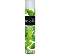 Désodorisant bactéricide Fraîcheur mentholée - 500 mL