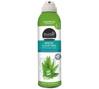 BOLDAIR - Destructeur d'odeur et parfumants d'intérieur - Format compressé - parfum menthe et aloe vera - sans retombées - Flacon 100% recy ologique - 250ML - Fabrication française