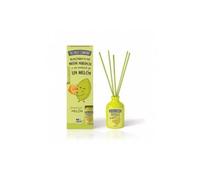 Désodorisant Mikado Melon 40ml de The Fruit Company