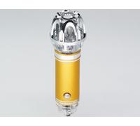Désodorisant purificateur d'air pour voiture à ions négatifs Poireau Smog Freshener Golden