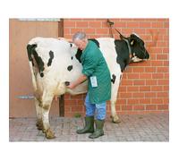 Détecteur de gestation Kerbl HK - noir - TU