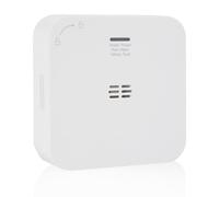 Smartwares Détecteur de CO connecté - 85 DB - Capteur 10 Ans - Notifications Via App - Bouton de Test & Silence